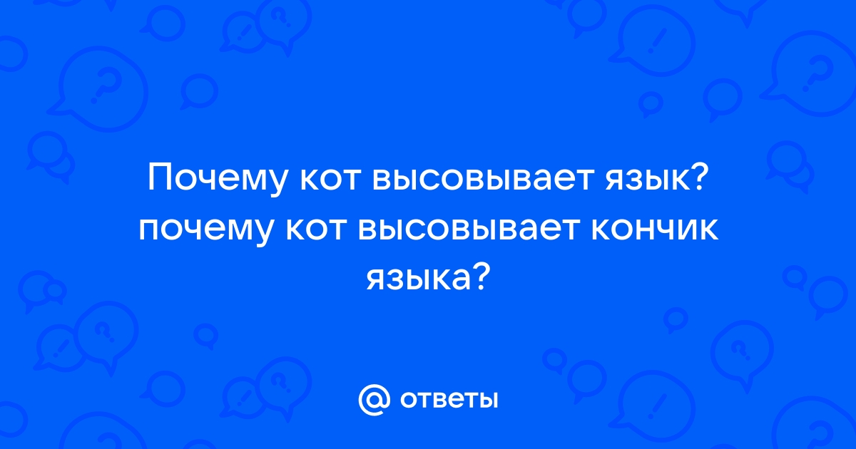 Дразнящие коты — почему кот показывает язык?