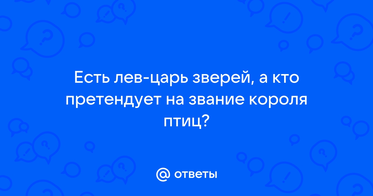 Почему царь зверей - лев?