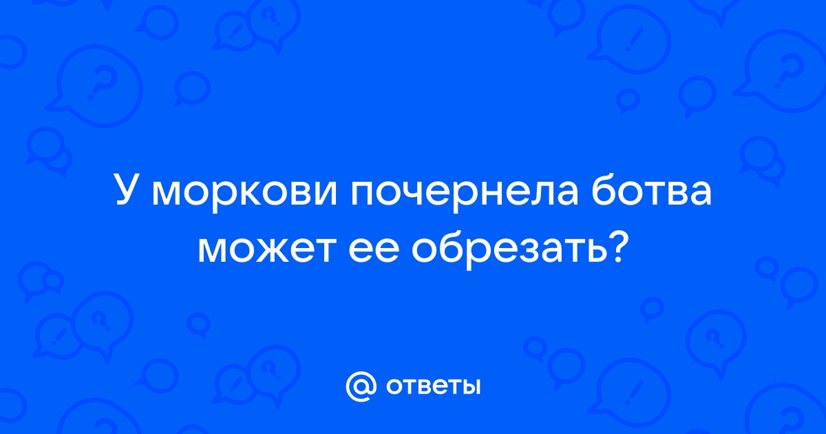 Чернеет ботва моркови: что делать, если почернела?