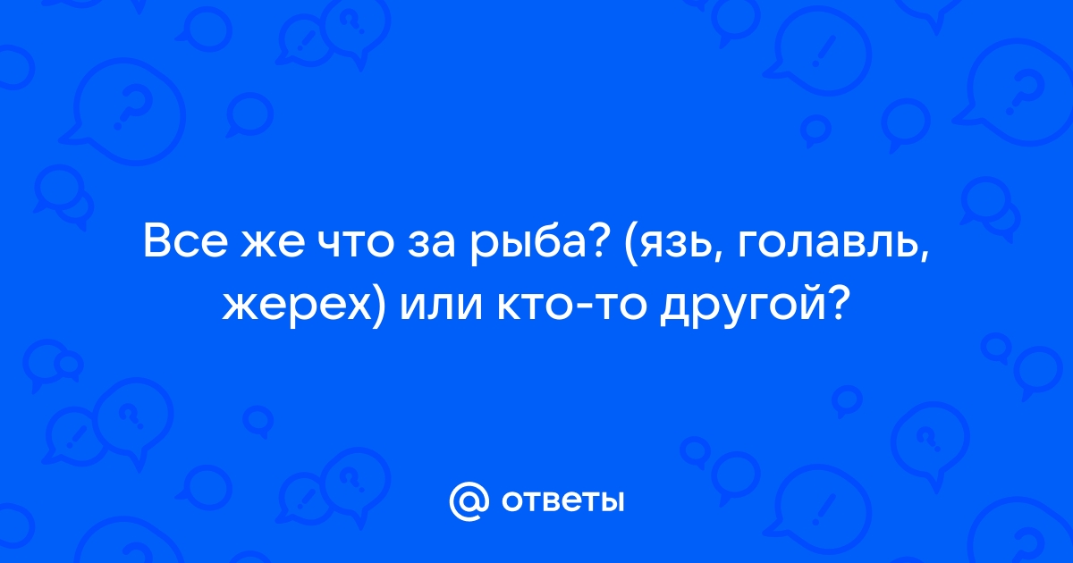 Молога. Жизнь на любимой реке. Ловля подъязка