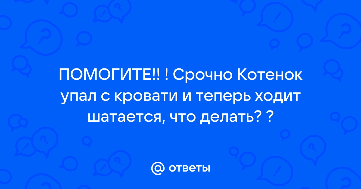 Котенок упал с кровати