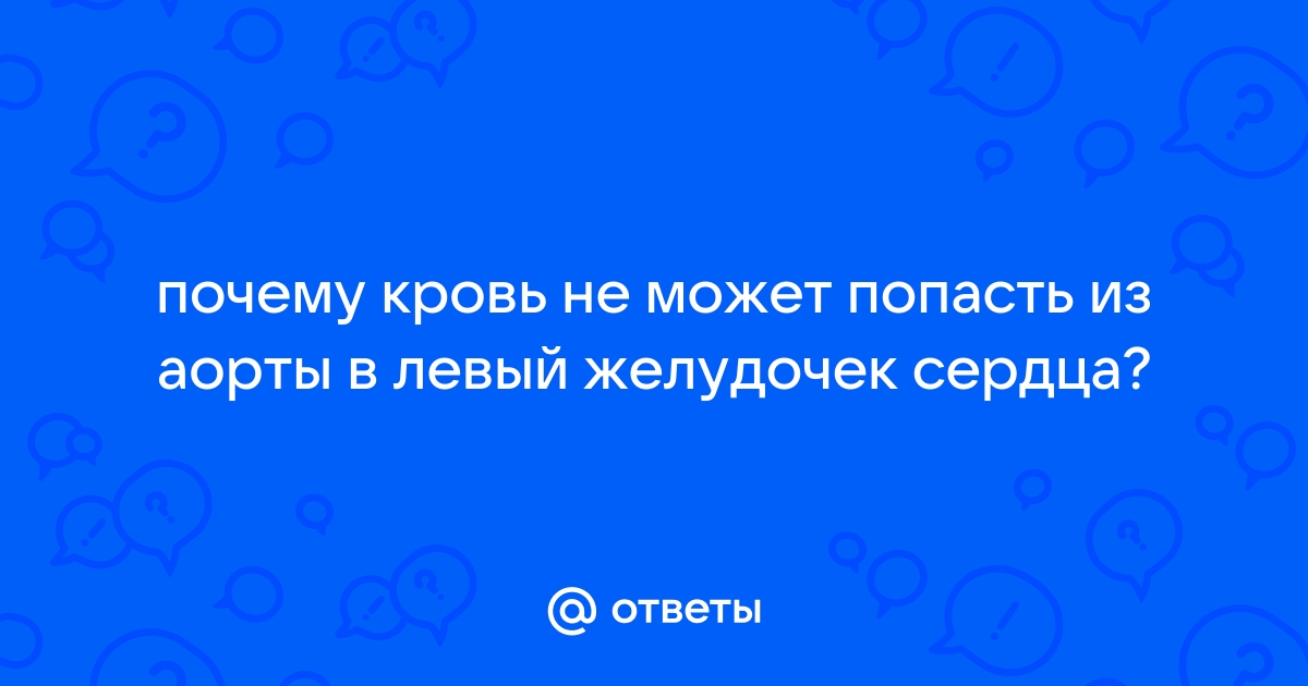 Ответы Mail: почему кровь не может попасть из аорты в левый желудочек?