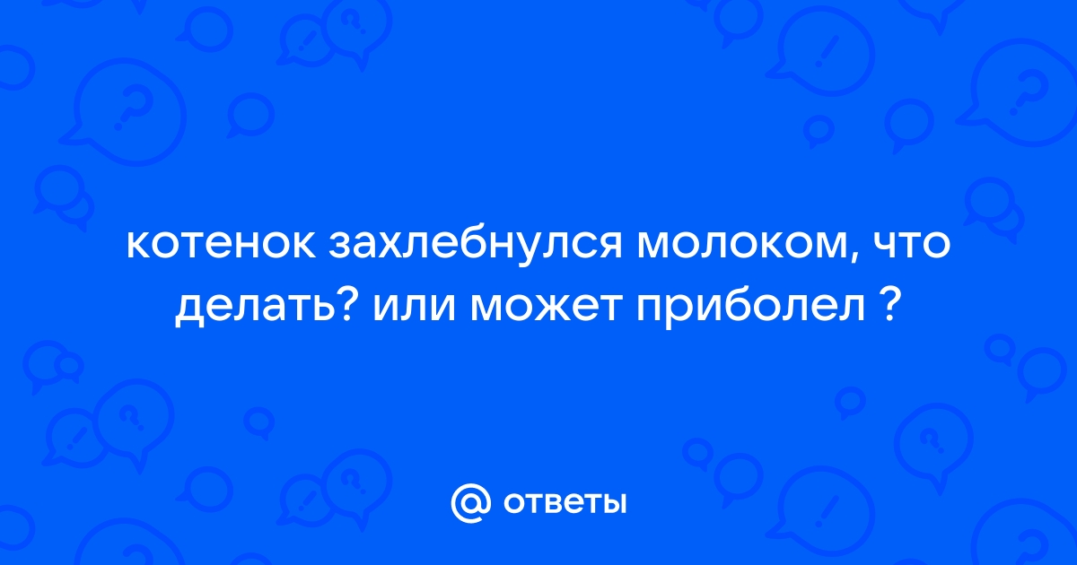 Первая помощь новорожденному котенку или кормящей кошке