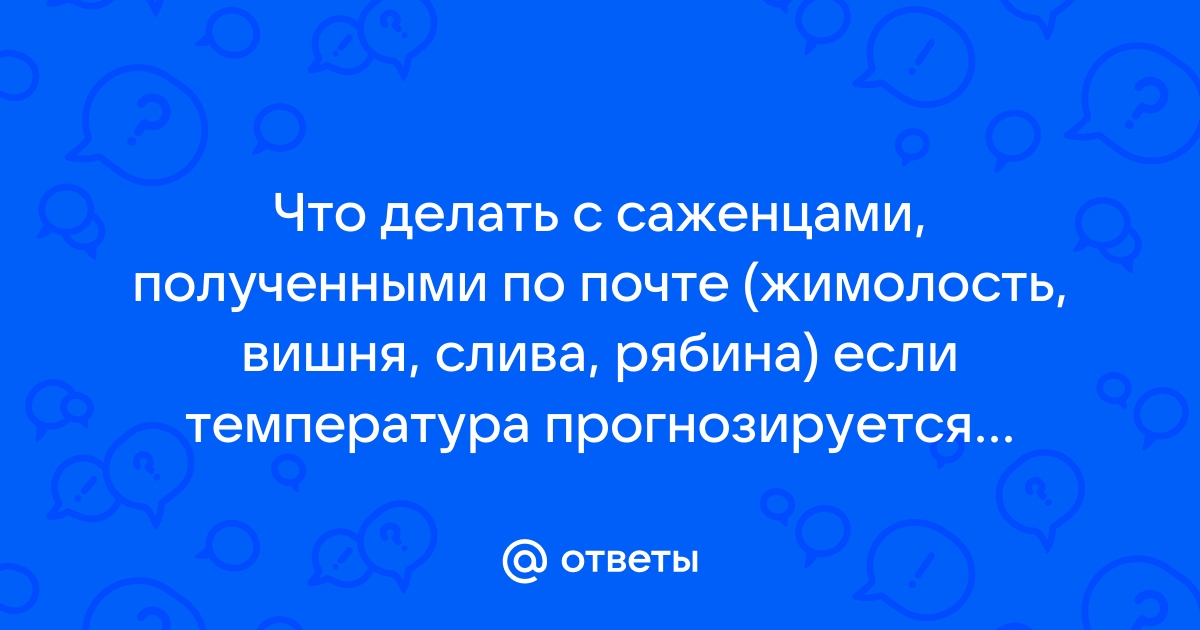 Как сохранить саженцы из посылки до высадки в грунт