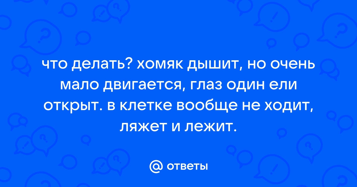 Как ухаживать за кошкой после стерилизации