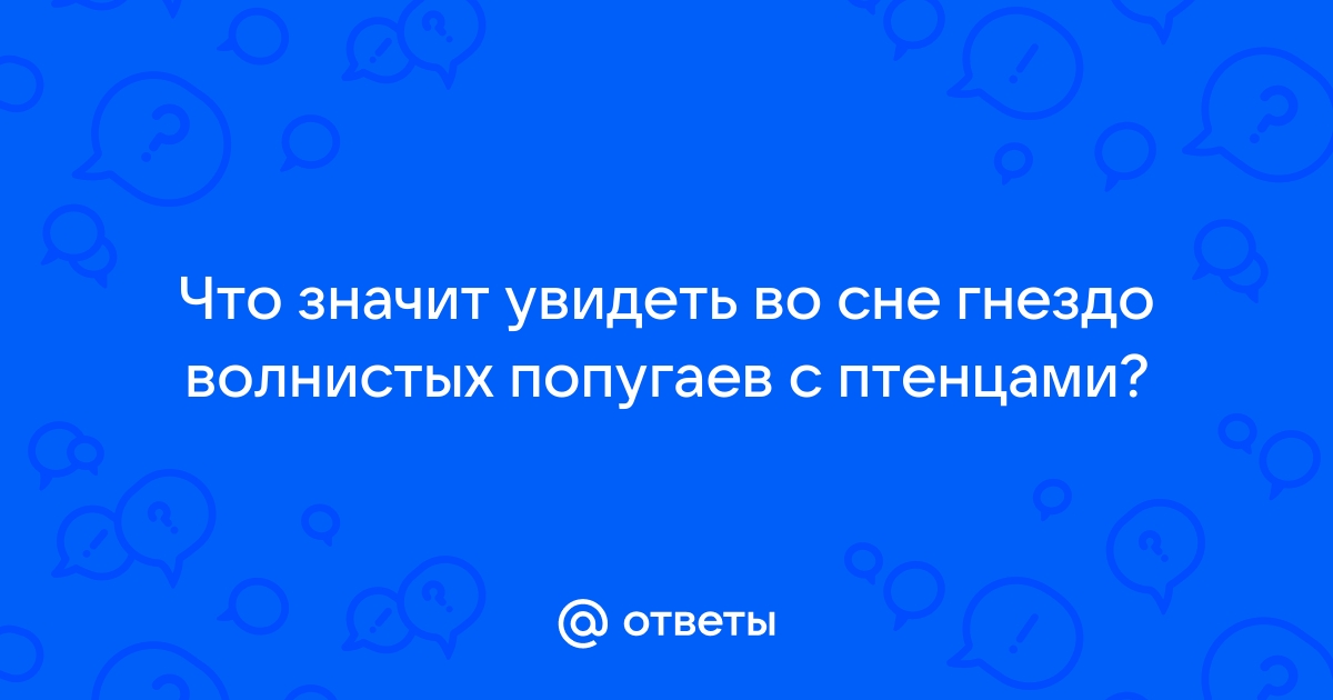 Птицы в сновидениях мужчин и женщин | Наш дом в Новороссийске | Дзен