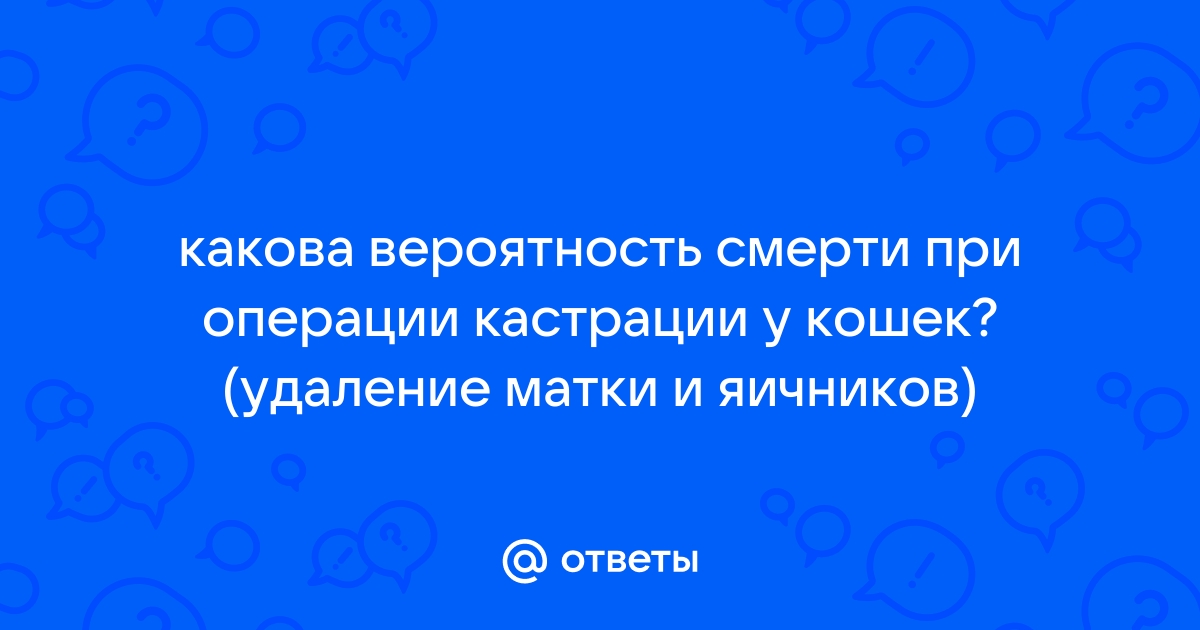 Когда можно заниматься интимной жизнью после удаления яичника