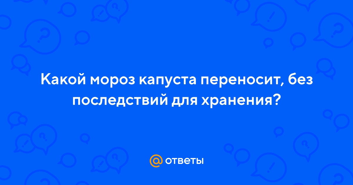 Ответы Mail.ru: Какой мороз капуста переносит, без последствий для хранения?