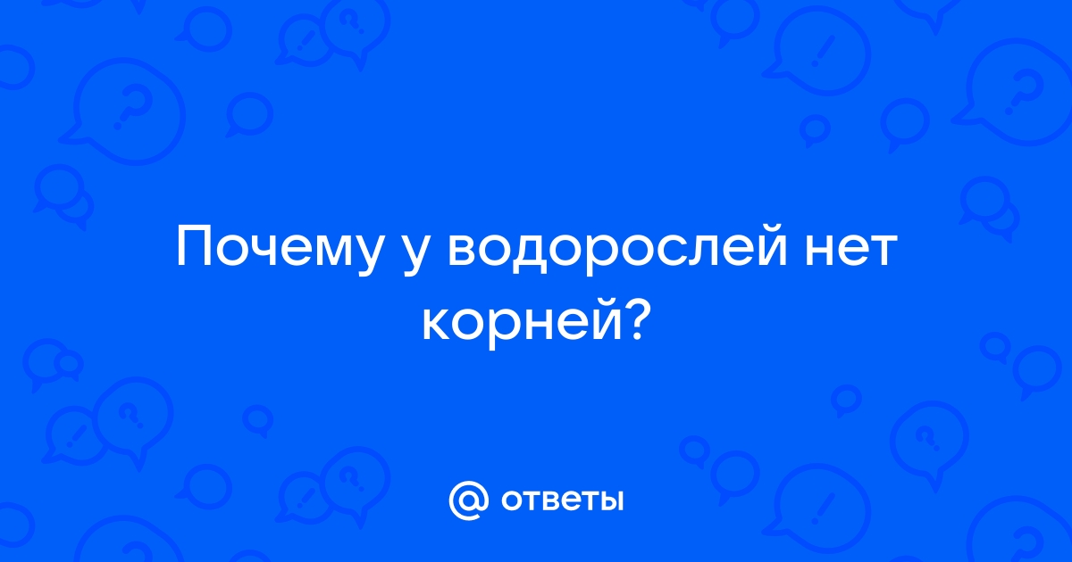 Разнообразие растений - Поурочные планы для учителей Казахстана, обновленка КСП,ССП 