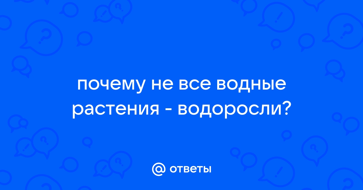 Решение проблемы водорослей в водоёме