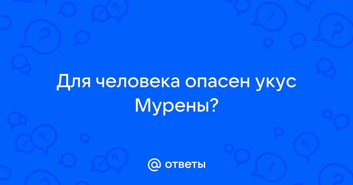 Укус мурены для человека фото