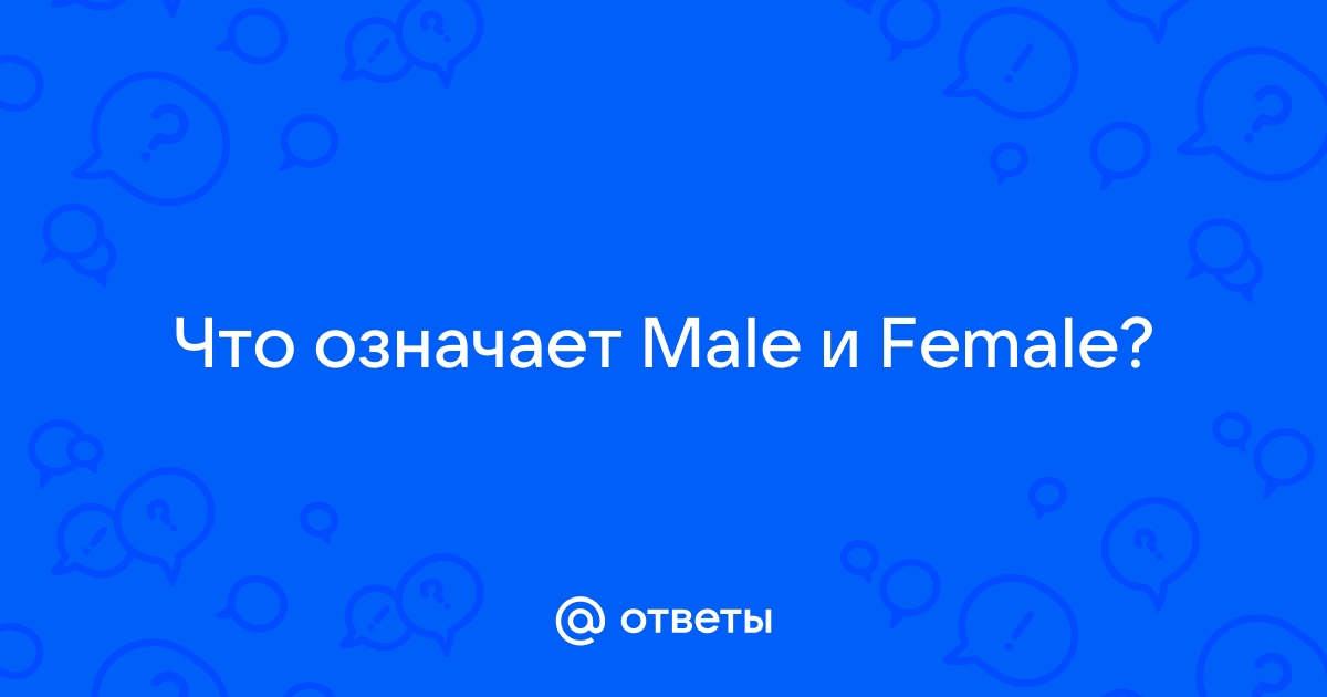 Male перевод