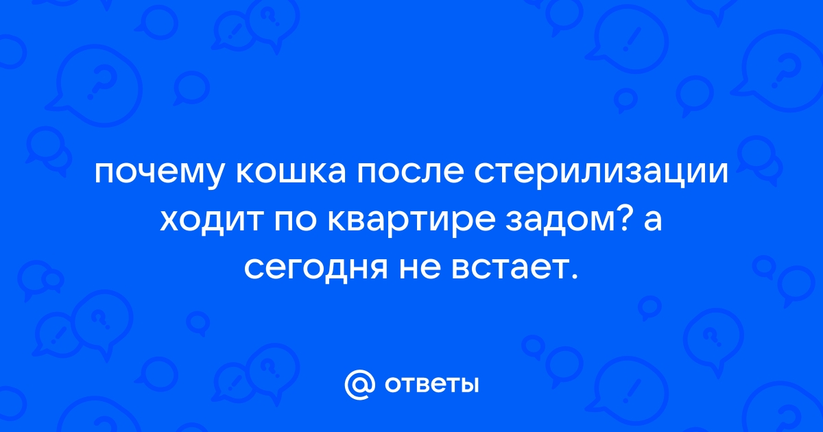 Кошка ходит задом после стерилизации