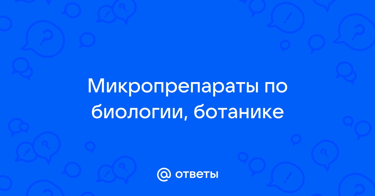 Набор микропрепаратов для изучения биологии в 10-11 классах