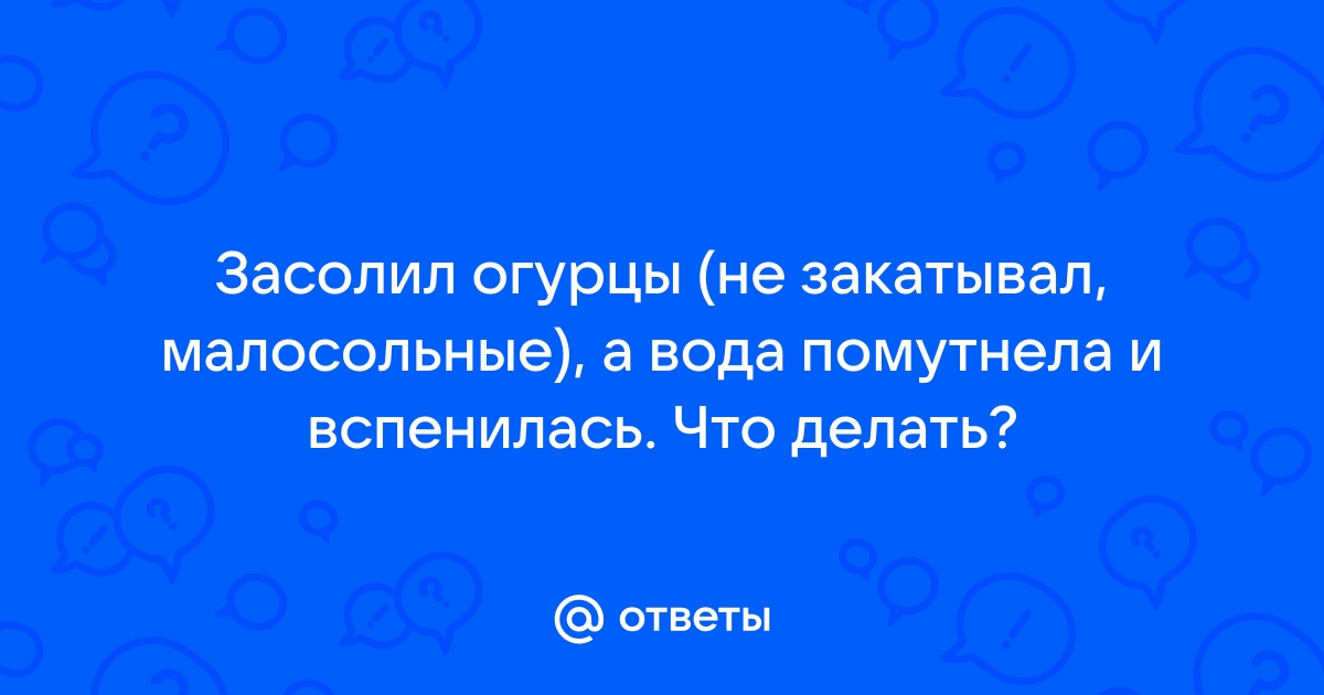 Помутнели огурцы: как спасти рассол - простой способ