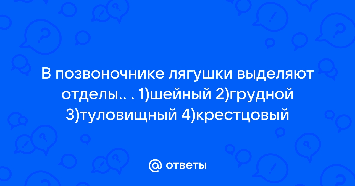 Анатомия земноводных — Википедия