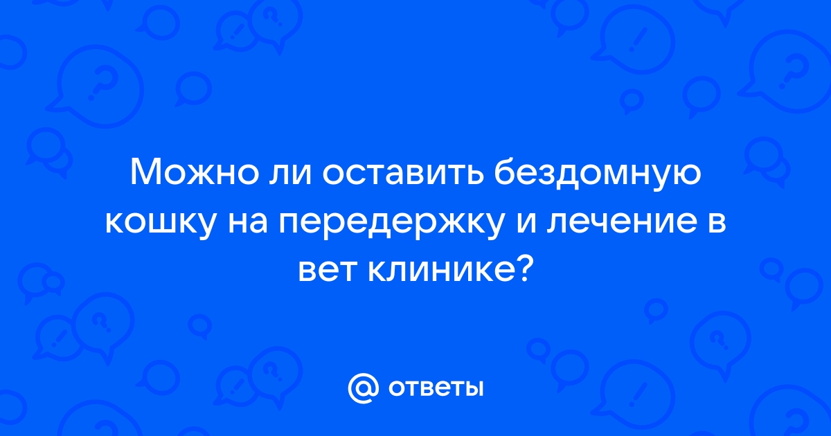 Можно ли приютить бездомную кошку в симс 4