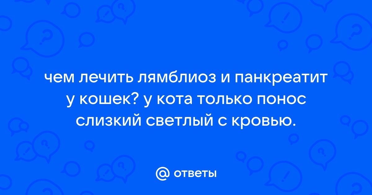 Консервативное лечение поджелудочной железы у собак и котов при панкреатите › Белый Клык