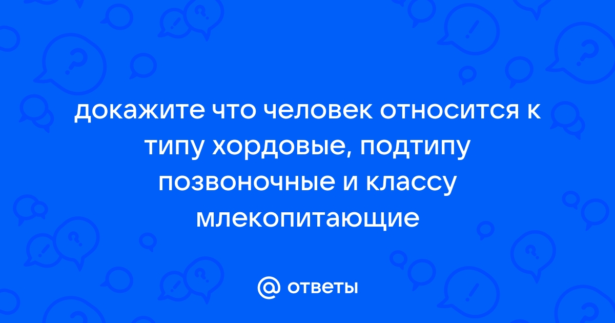 К какому типу подтипу и классу можно отнести изображенное на рисунке животное ответ обоснуйте хомяк