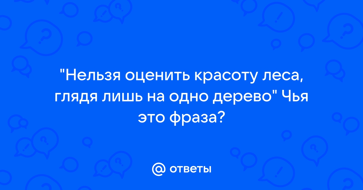 Когда наступило утро со стороны леса послышался сильный шум мотора и показался самолет схема разбор