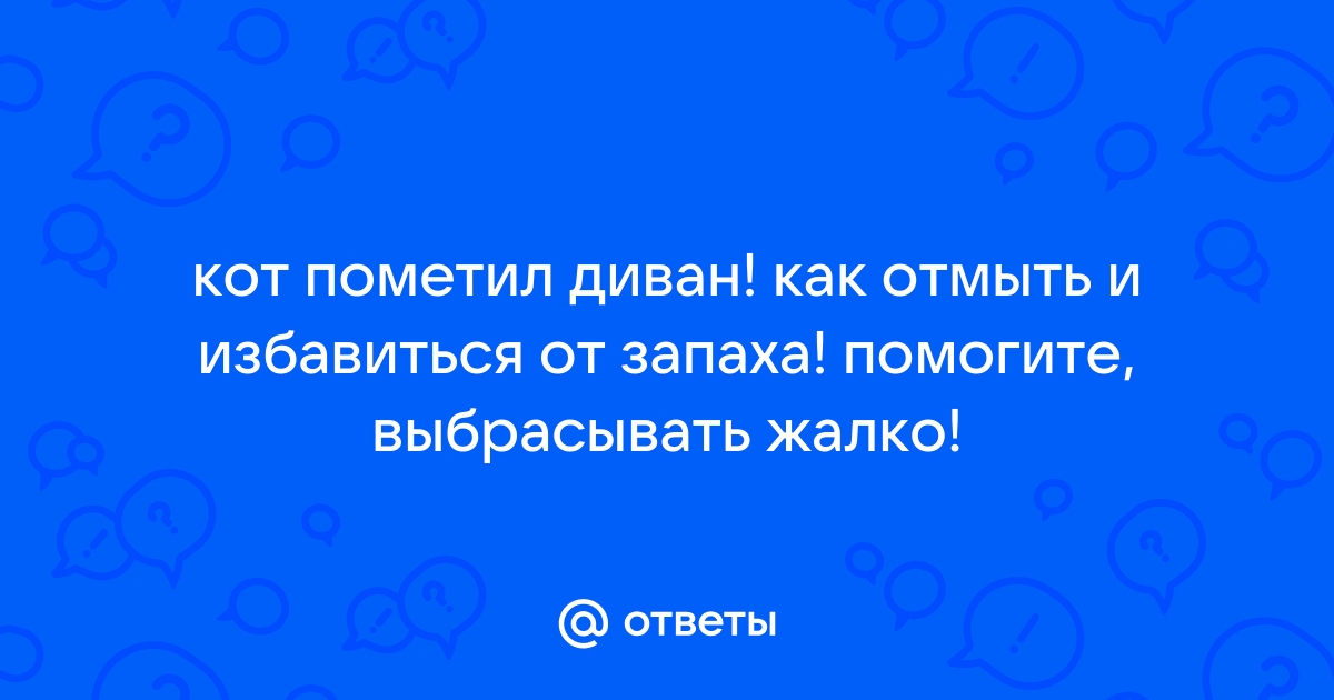 Кот пометил диван как избавиться от запаха в домашних условиях