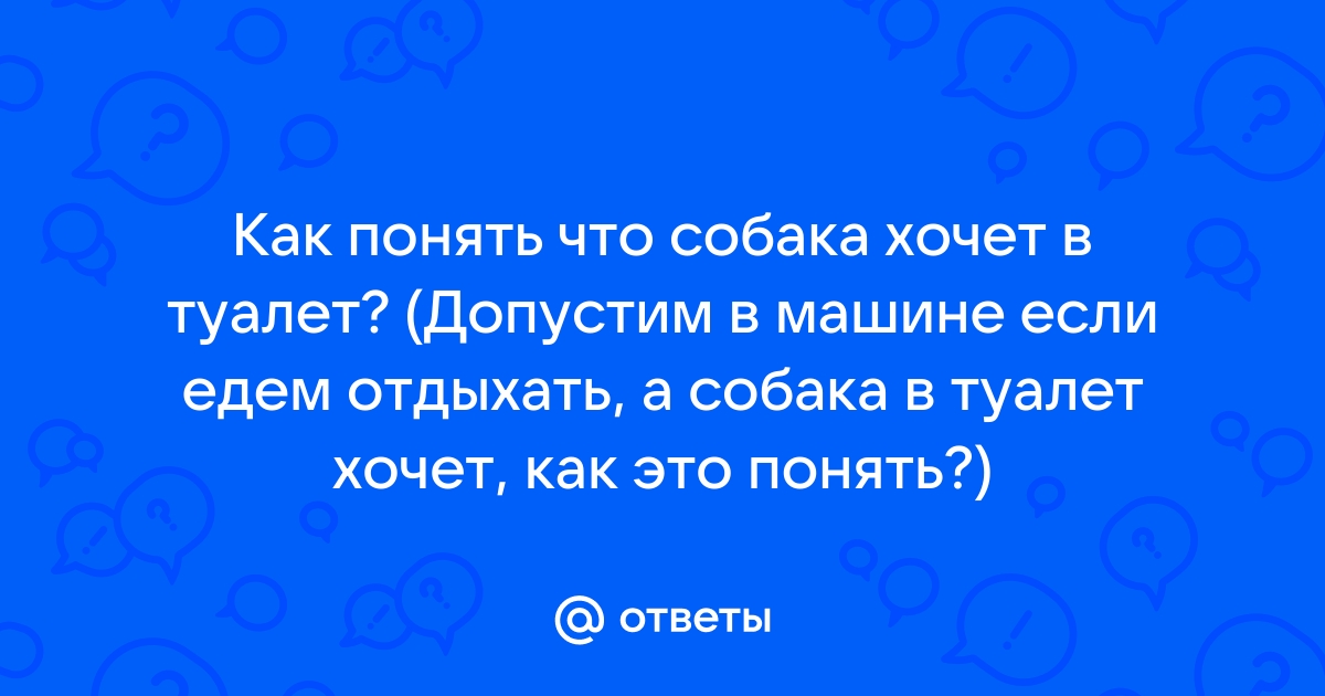 Хочется в туалет каждый час