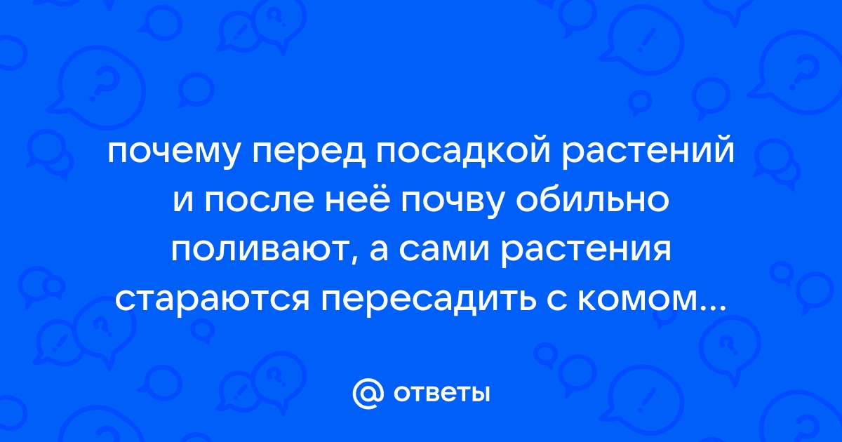 Как и когда поливать растения Марихуан - инструкция