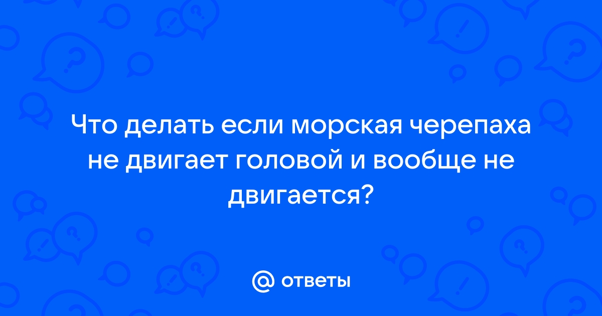 6 причин почему черепаха открывают рот