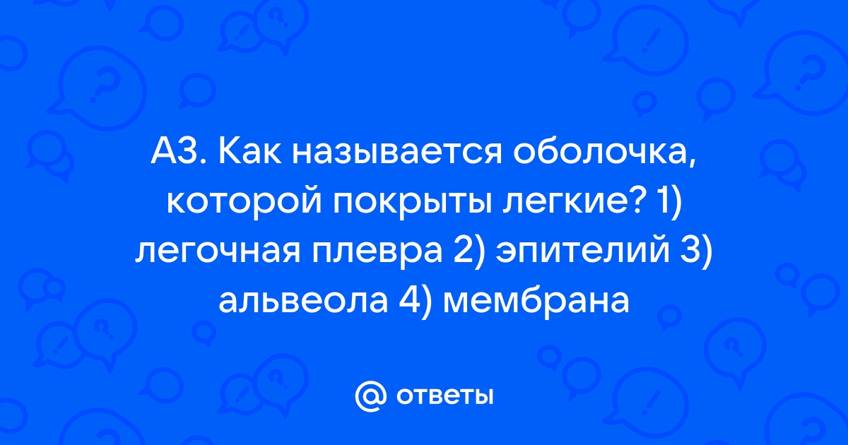 Как называется оболочка windows