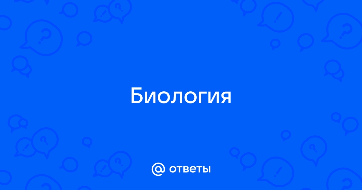 Статистические показатели популяции. Механизмы регуляции численности популяции