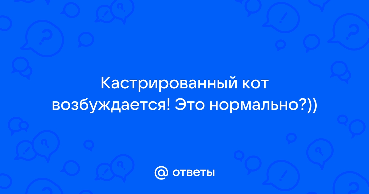 Взрослый кот вдруг стал гадить, как отучить? (