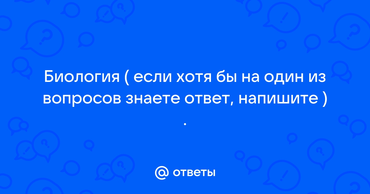 Рассмотри изображение устьиц и ответь на вопросы