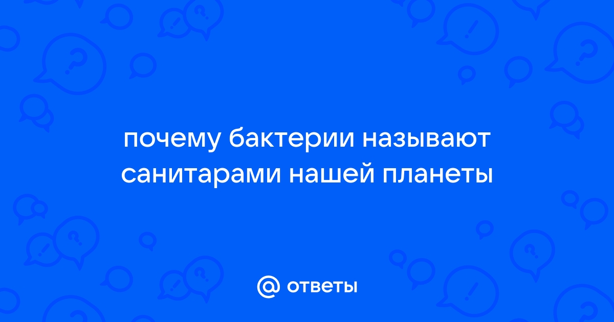 Экологическая роль почвенных бактерий