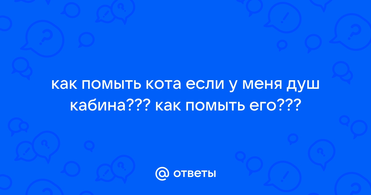 Как помыть кота в душевой кабине