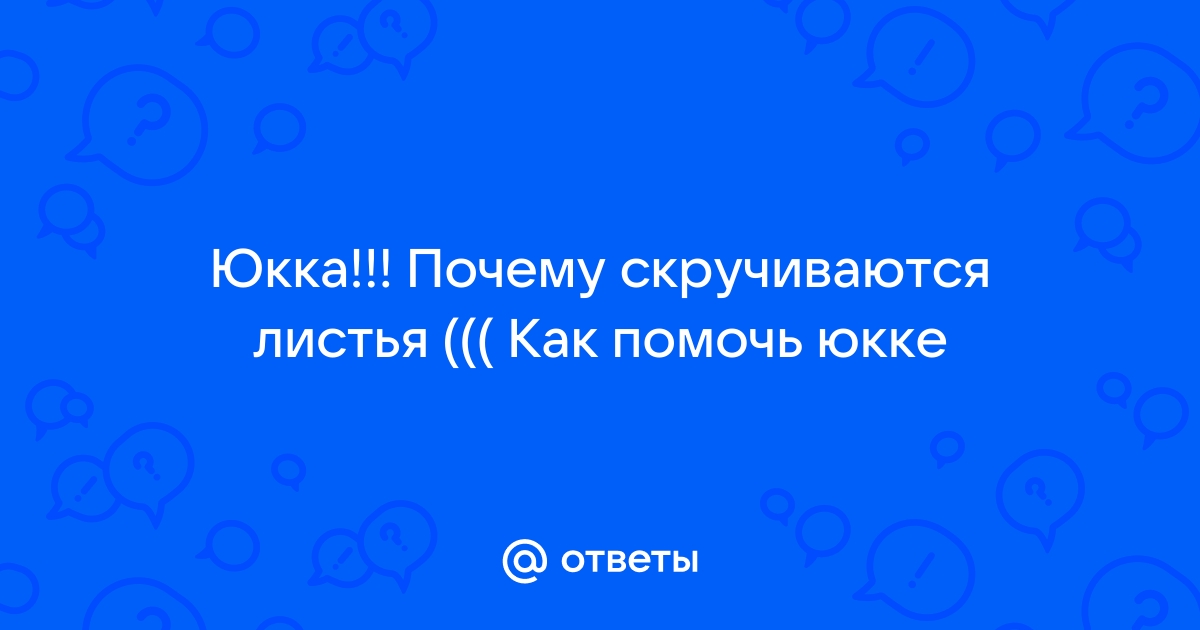 Юкка: проблемы