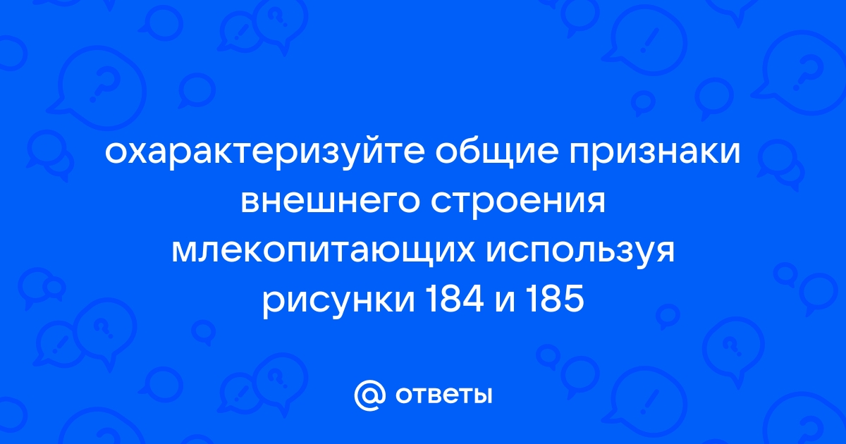 Охарактеризуйте общие признаки внешнего строения млекопитающих используя рисунки 184 185