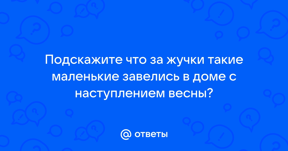 Шаттерсток сколько стоит одна картинка