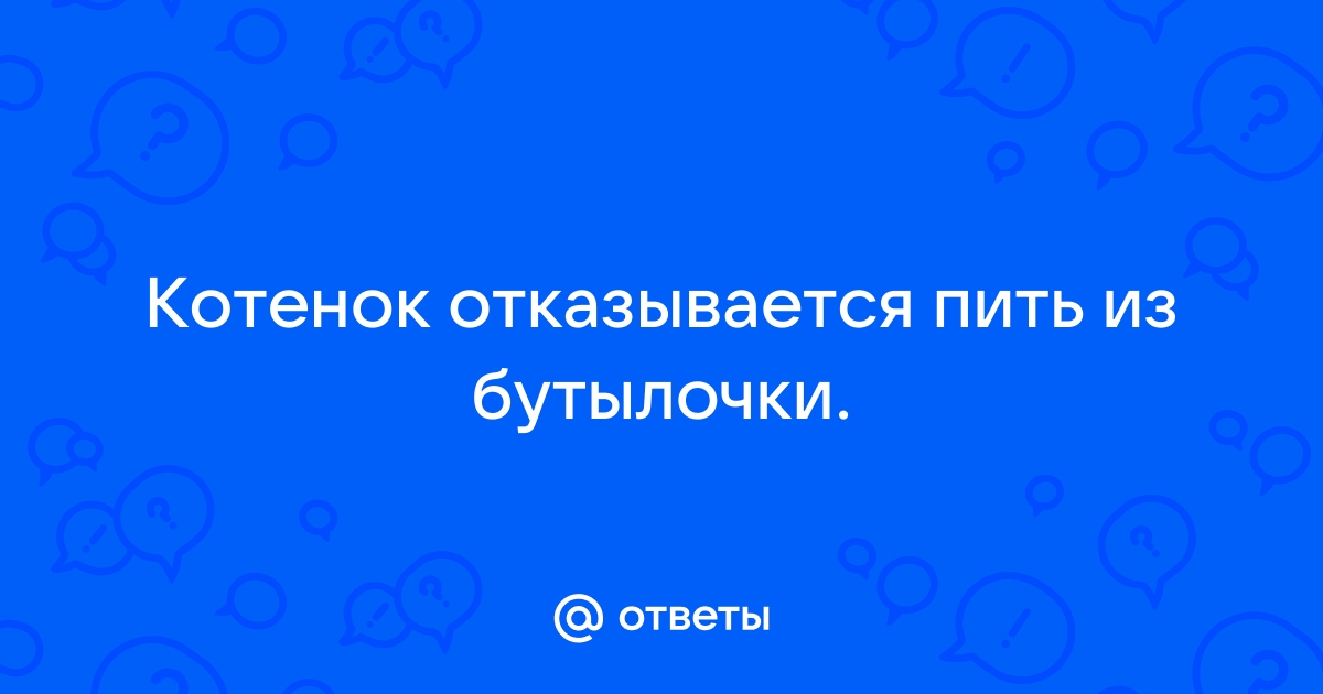 Чем кормить котенка: практические советы и рекомендации