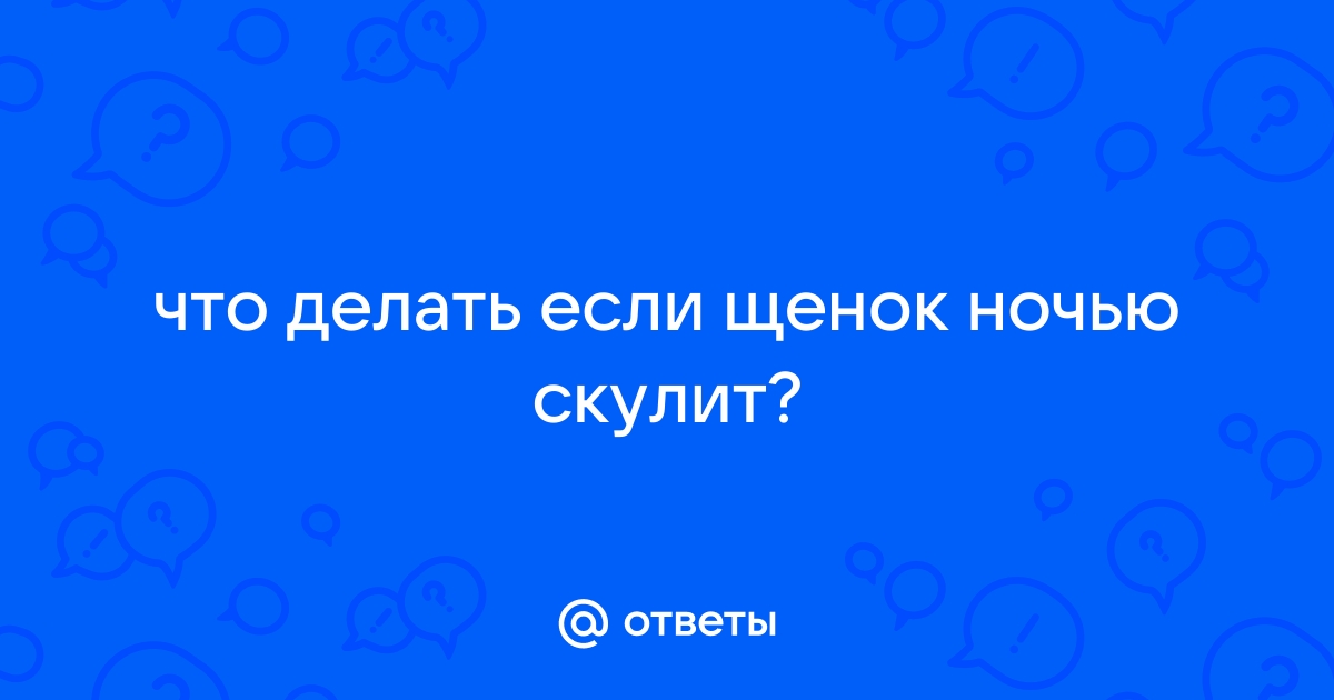 Почему скулит собака и что делать?