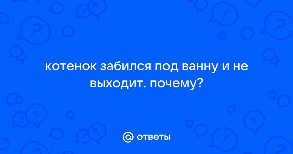 Кот забился под ванну и не выходит что делать