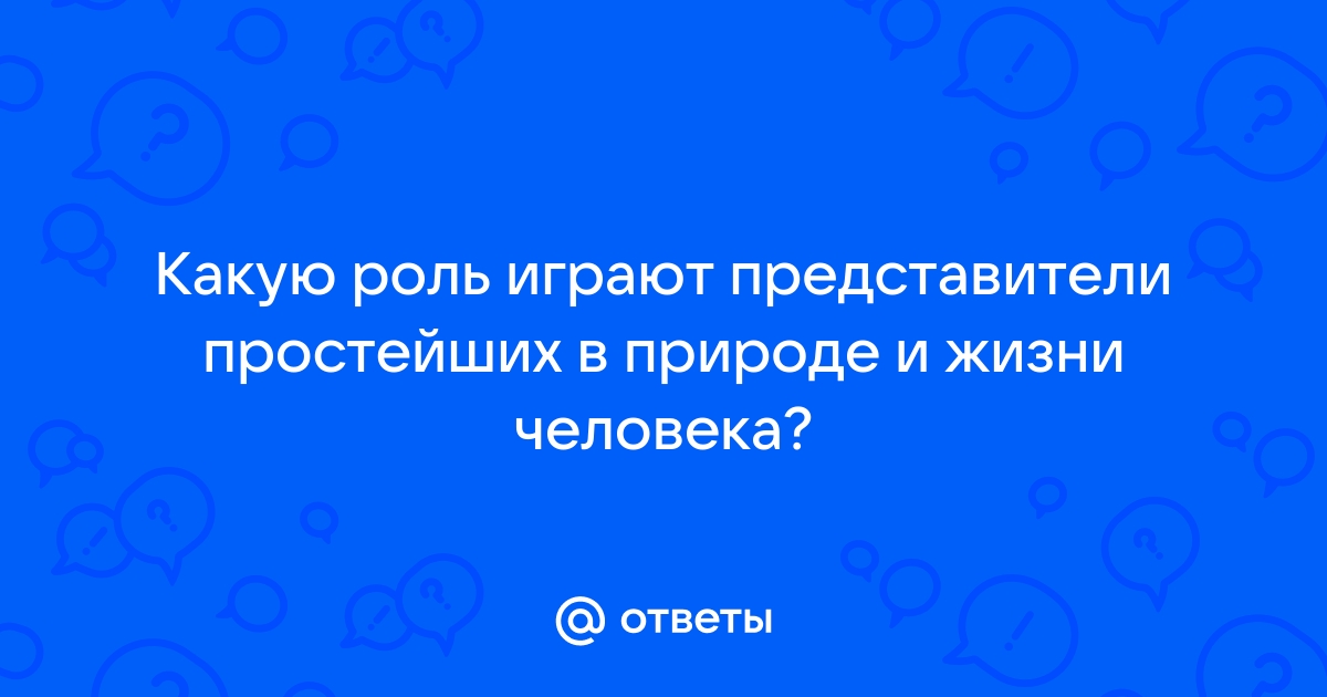 Кирзаводская 20б ижевск ритуальное бюро карта