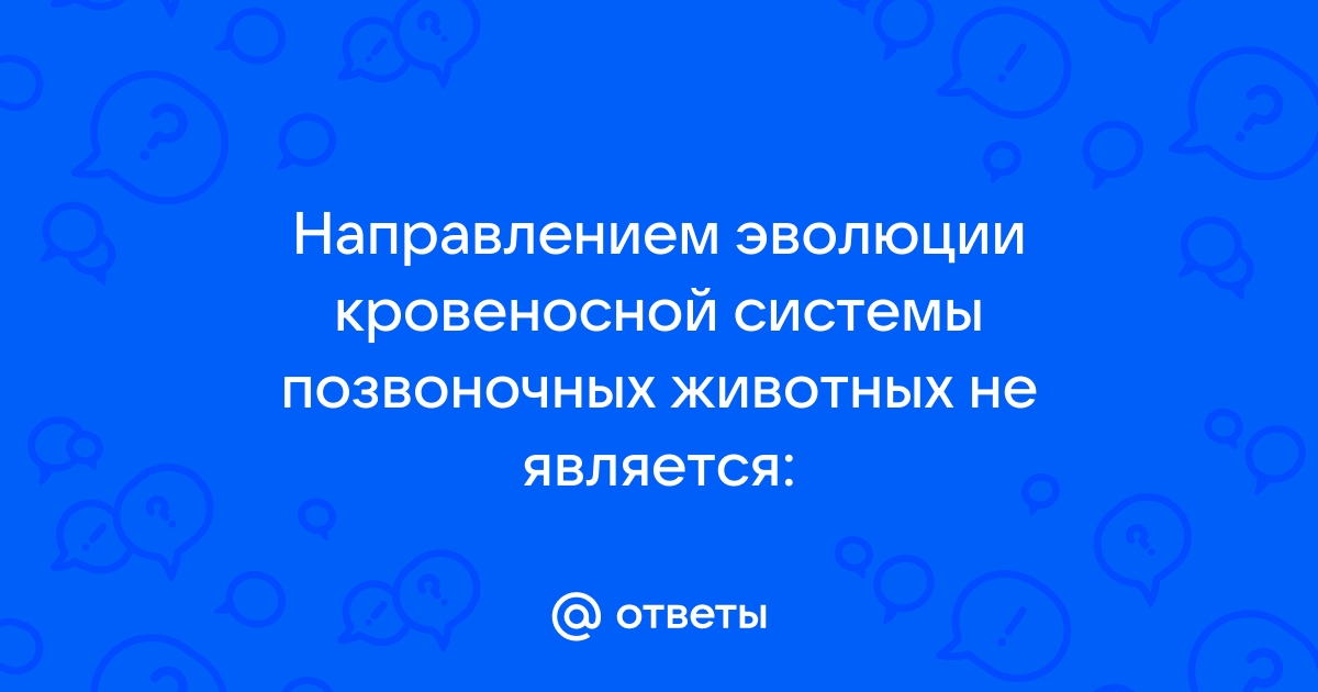 Вам поступил заказ на разработку модели кровеносной системы индивидуальный проект ответы на вопросы