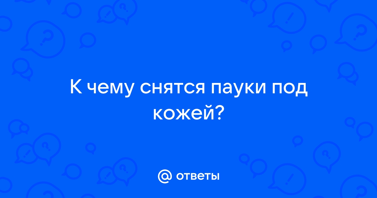 К чему снятся пауки — сонник: пауки во сне | fialkaart.ru