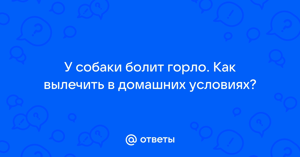 Кашель у собаки как будто подавилась