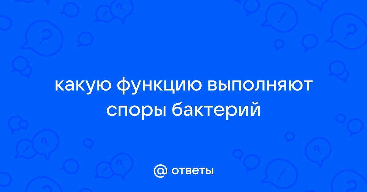 Ответы Mail.ru: какую функцию выполняют споры бактерий