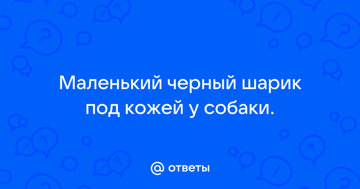 Шишка на коже у собаки, на лапах, на шее – откуда появляется и как лечить