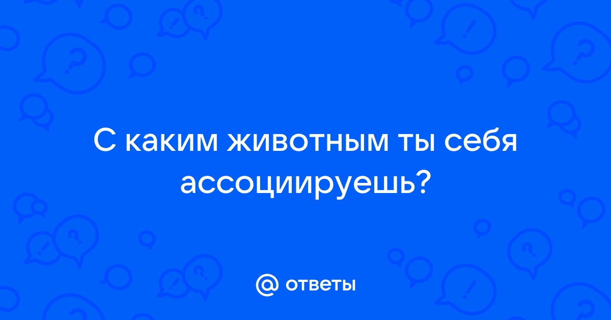 С каким животным вы себя ассоциируете?