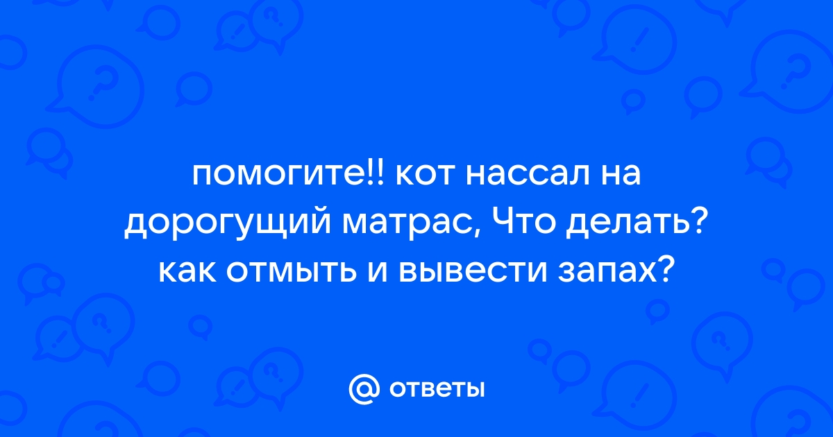 Кот написал на кровать что делать как отмыть