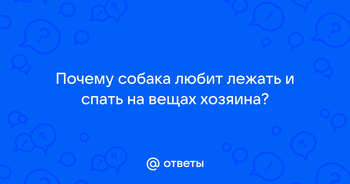 Почему собаки ложатся на наш живот? | Собаки в цифре | Дзен