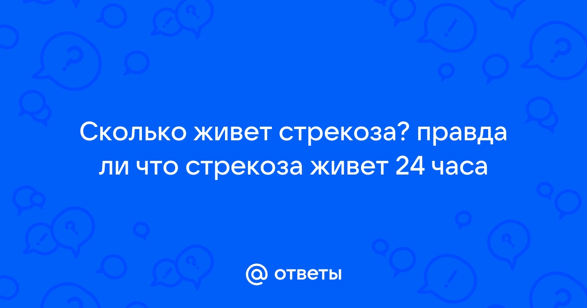 Ответы Mail.ru: Сколько живет стрекоза? правда ли что стрекоза живет 24 часа